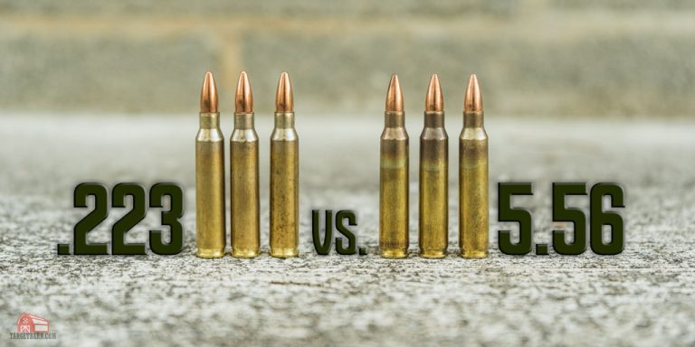 Professional Comparison: Are .223 And 5.56 Dies the Same?